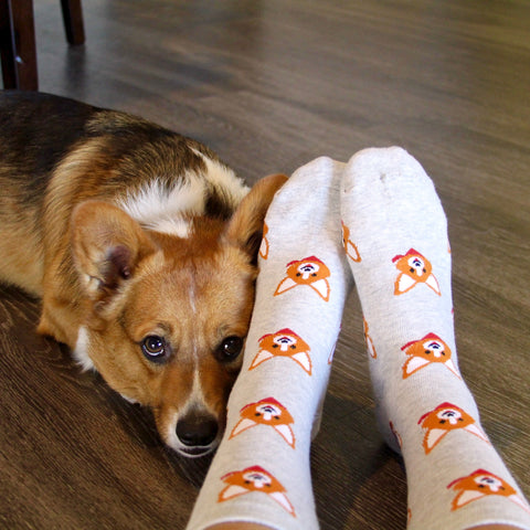 BARX SOX Grey Corgi Socks - Matching Dog