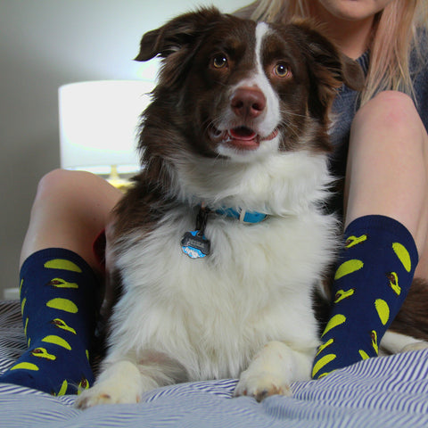 BARX SOX Navy Blue Dachshund Socks - Cute Dog
