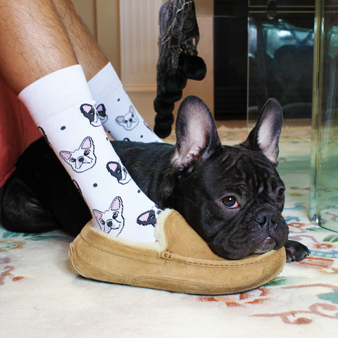 BARX SOX White Frenchie Socks - Matching Dog